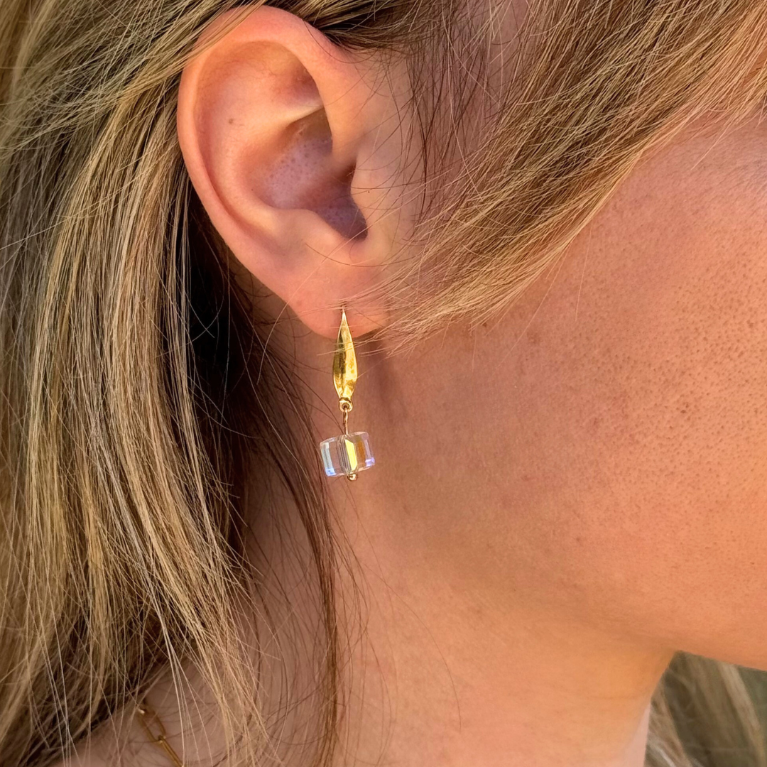 Σκουλαρίκια Clarity